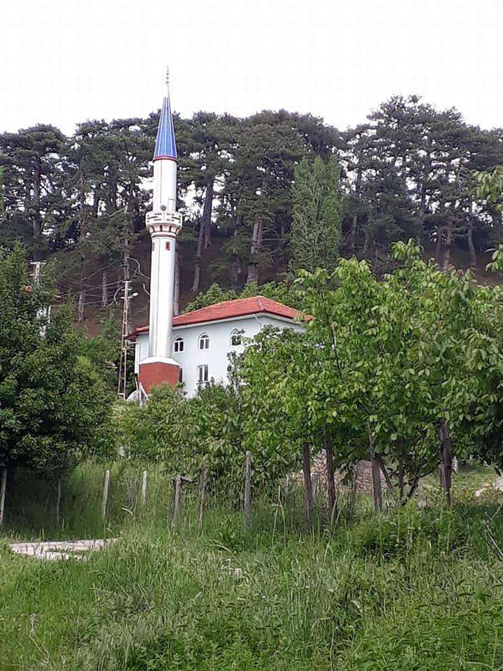 Nallıhan Sarıkaya Köyü Resimleri 1