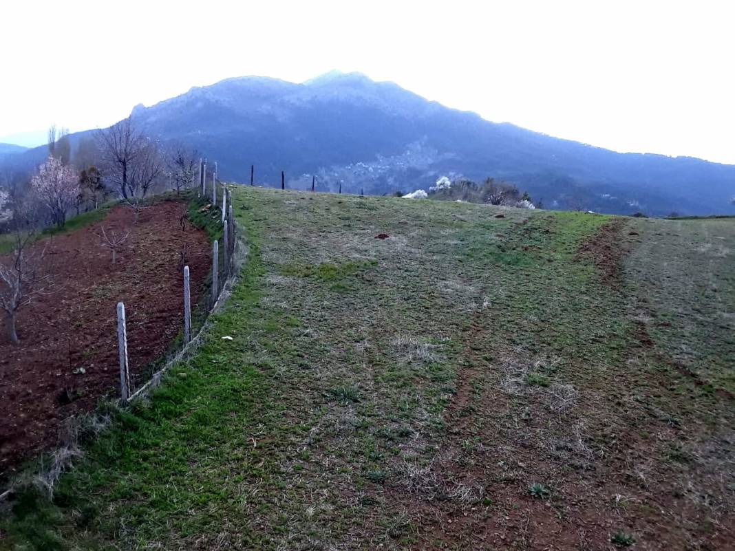 Nallıhan Sarıkaya Köyü Resimleri 3