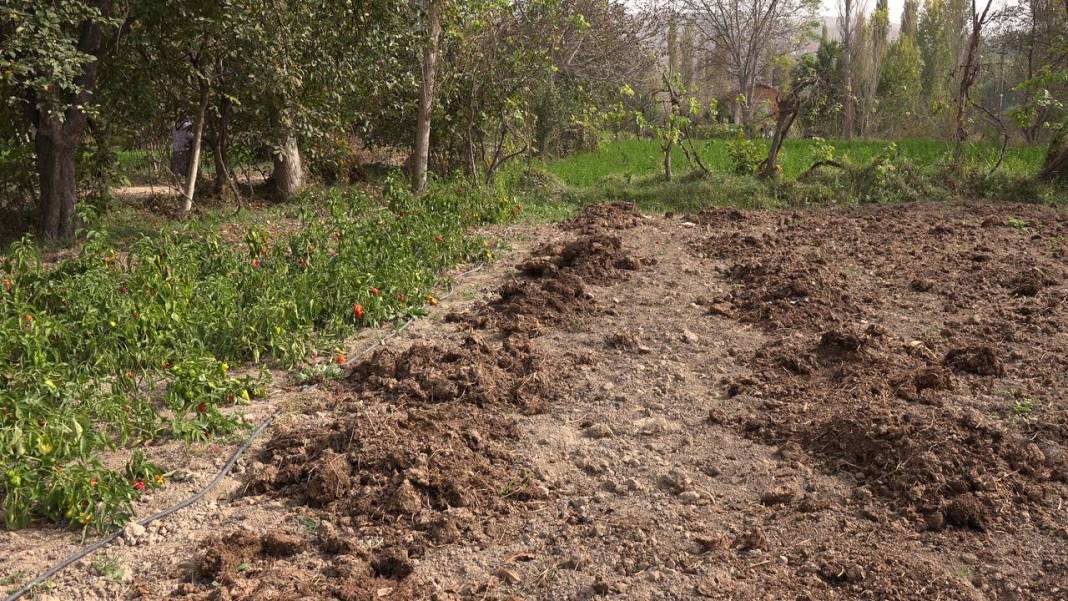 Nallıhan Sarıyar Köyü Resimleri 1