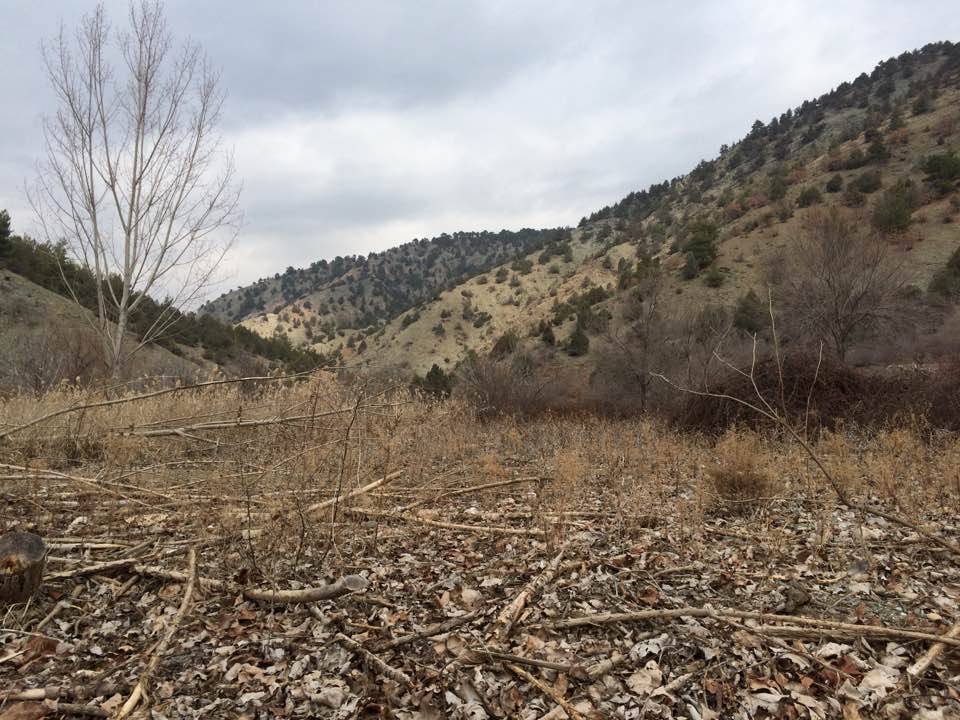 Nallıhan Soğukkuyu Köyü Resimleri 2