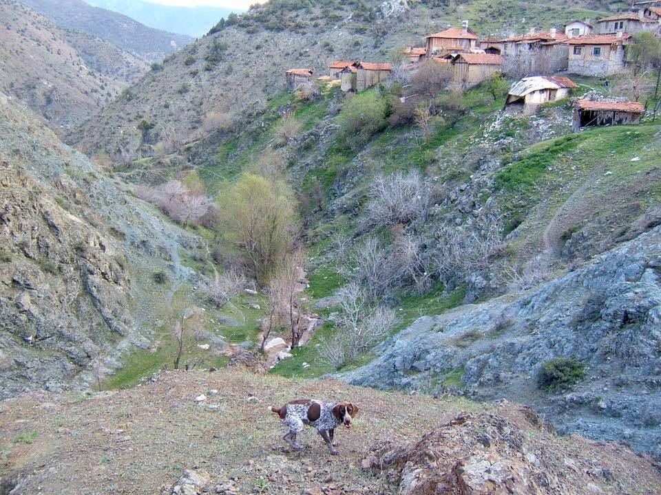 Nallıhan Soğukkuyu Köyü Resimleri 6