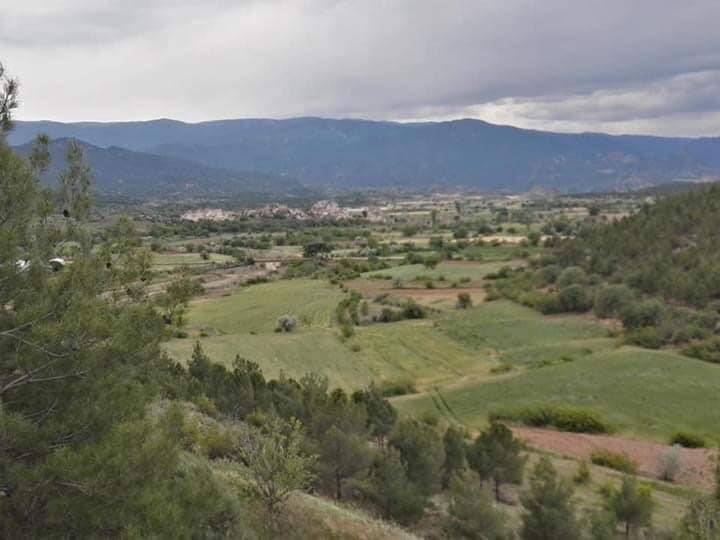 Nallıhan Tekirler Köyü Resimleri 11