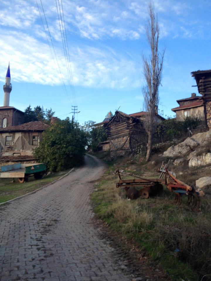 Nallıhan Tekkeköy Köyü Resimleri 5