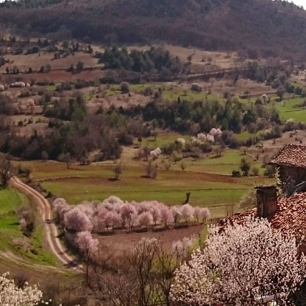 Nallıhan Tekkeköy Köyü Resimleri 6