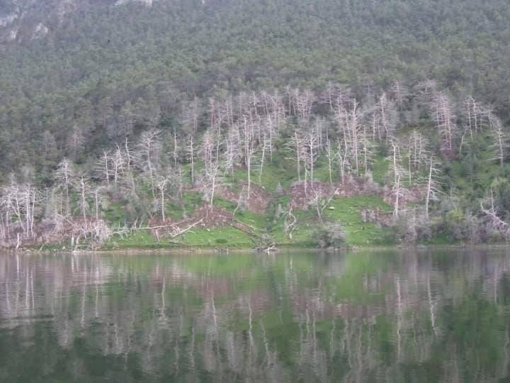 Nallıhan Tepeköy Köyü Resimleri 3