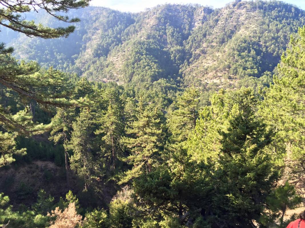 Nallıhan Uluköy Köyü Resimleri 1