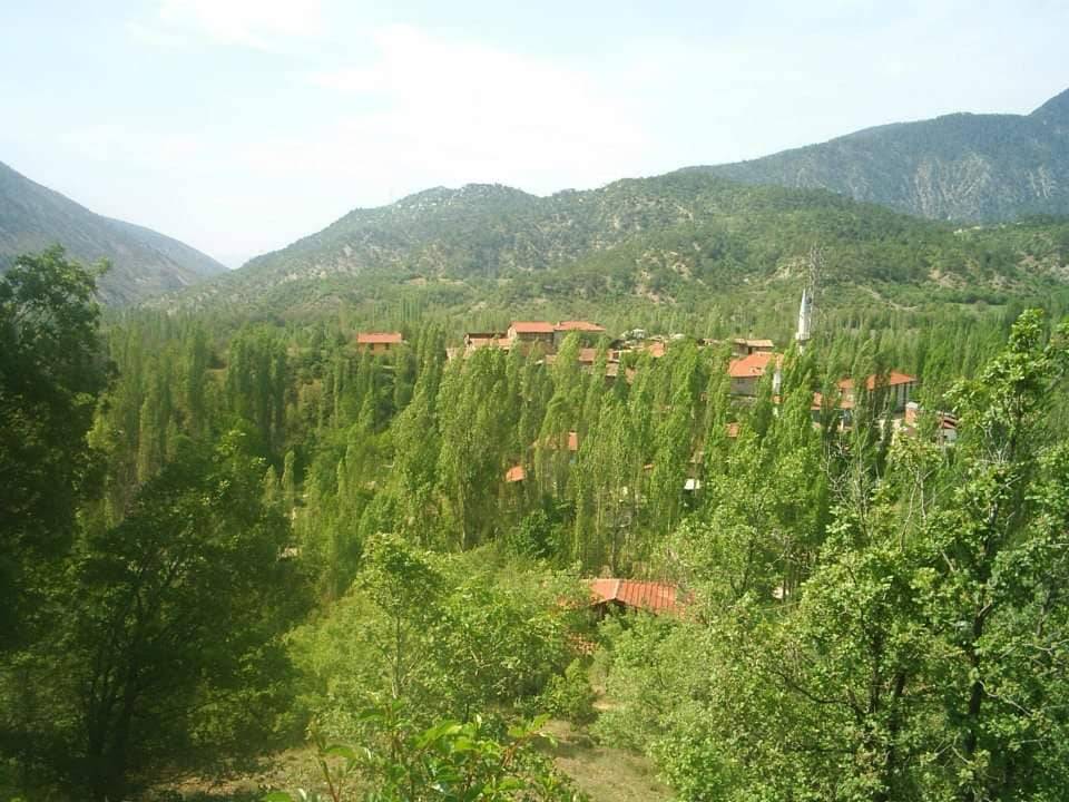 Nallıhan Yakapınar Köyü Resimleri 2