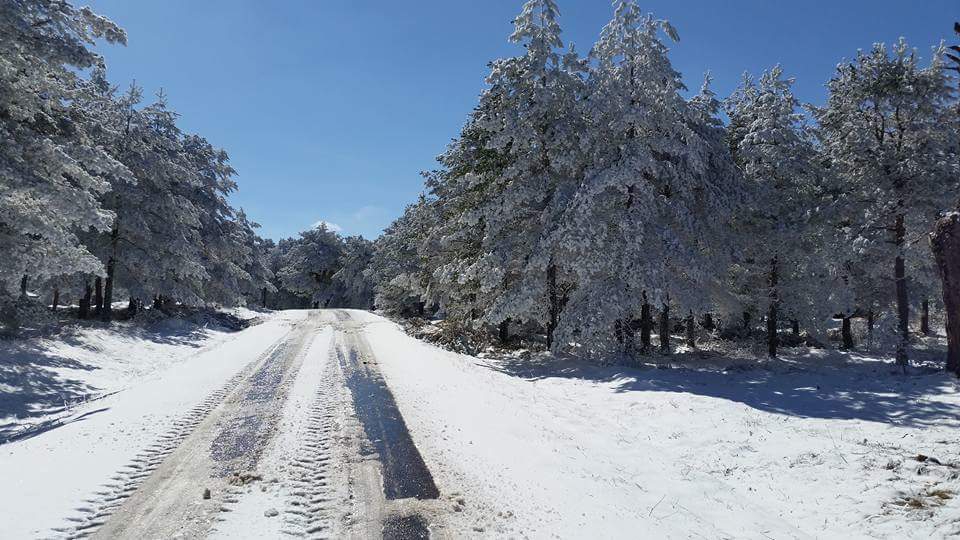Ovacık Boduroğlu Köyü Resimleri 1