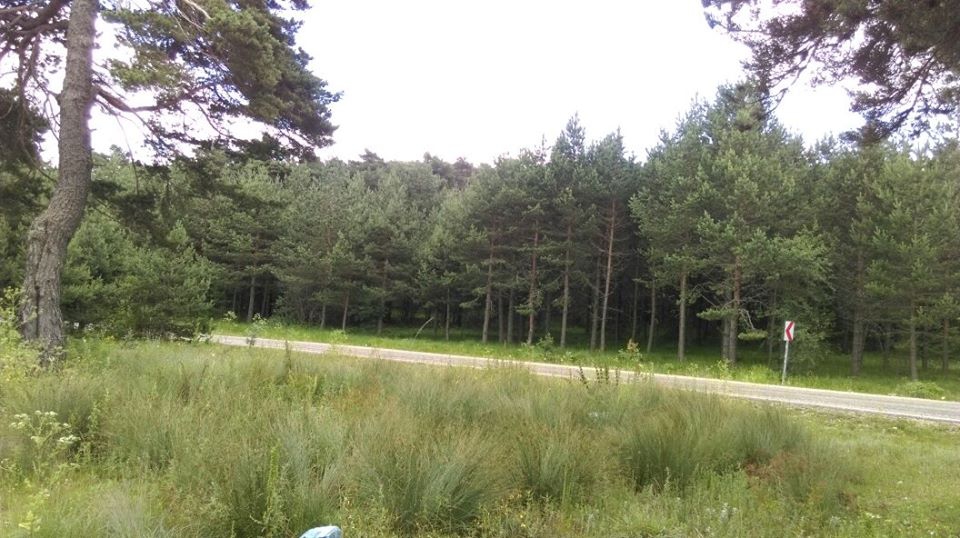 Ovacık Boduroğlu Köyü Resimleri 2