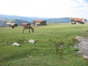 Karatay Acıdört Köyü Resimleri 3