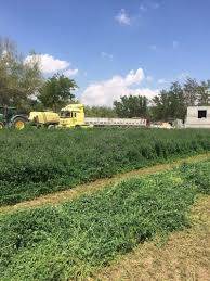 Karapınar Ağsaklı Köyü Resimleri 2