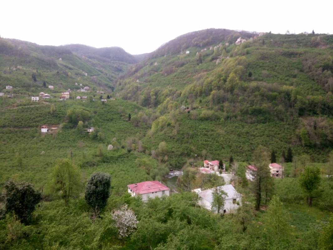 Çanakçı Akköy Köyü Resimleri 1