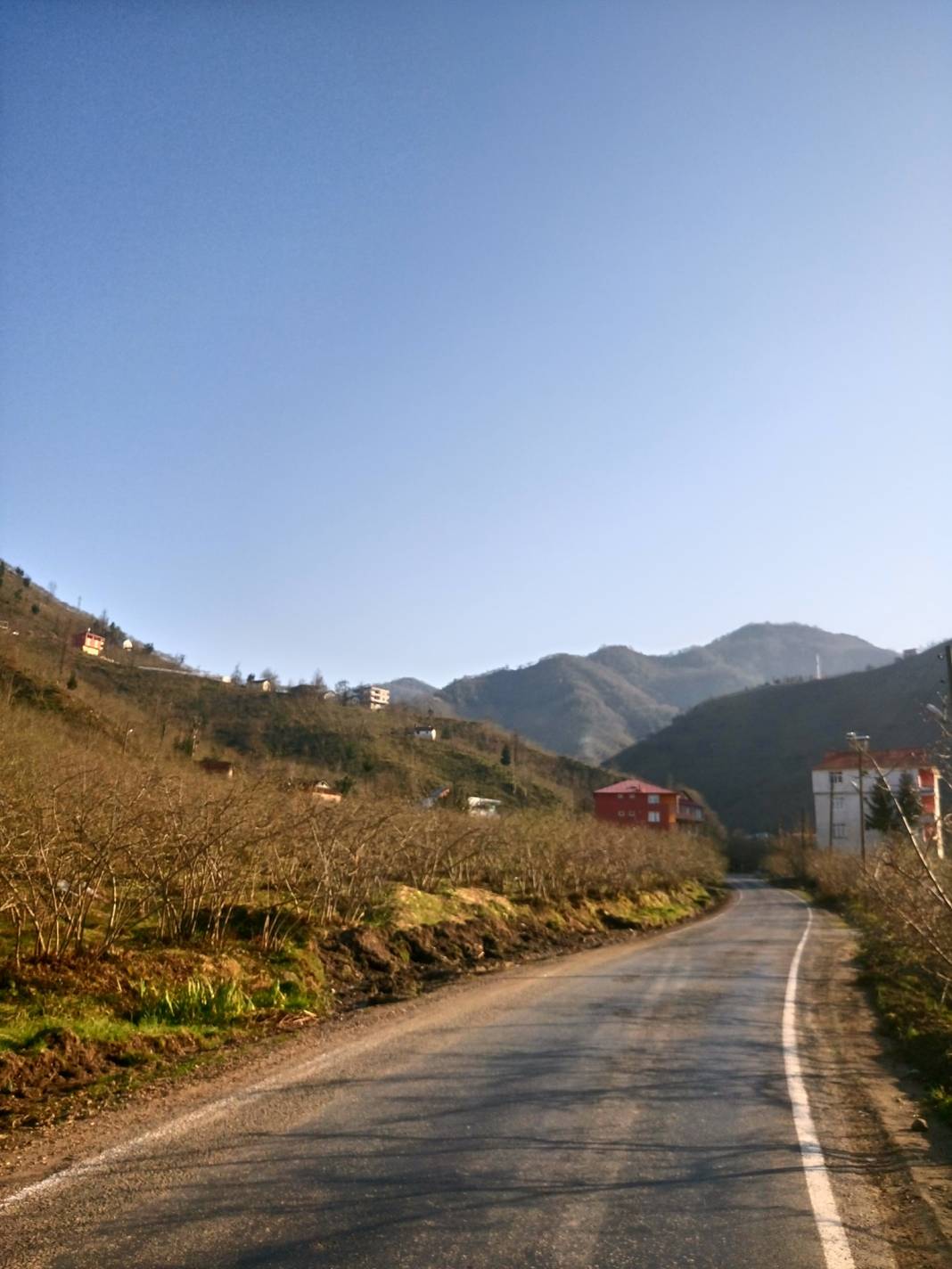 Çanakçı Akköy Köyü Resimleri 15