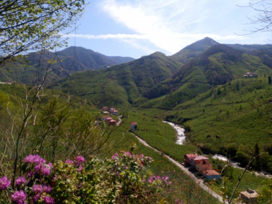 Çanakçı Akköy Köyü Resimleri 17