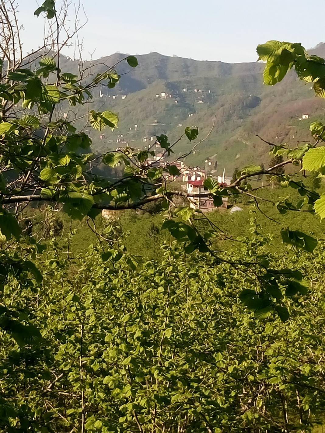 Çanakçı Akköy Köyü Resimleri 19