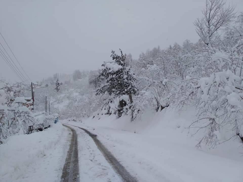 Çanakçı Akköy Köyü Resimleri 2