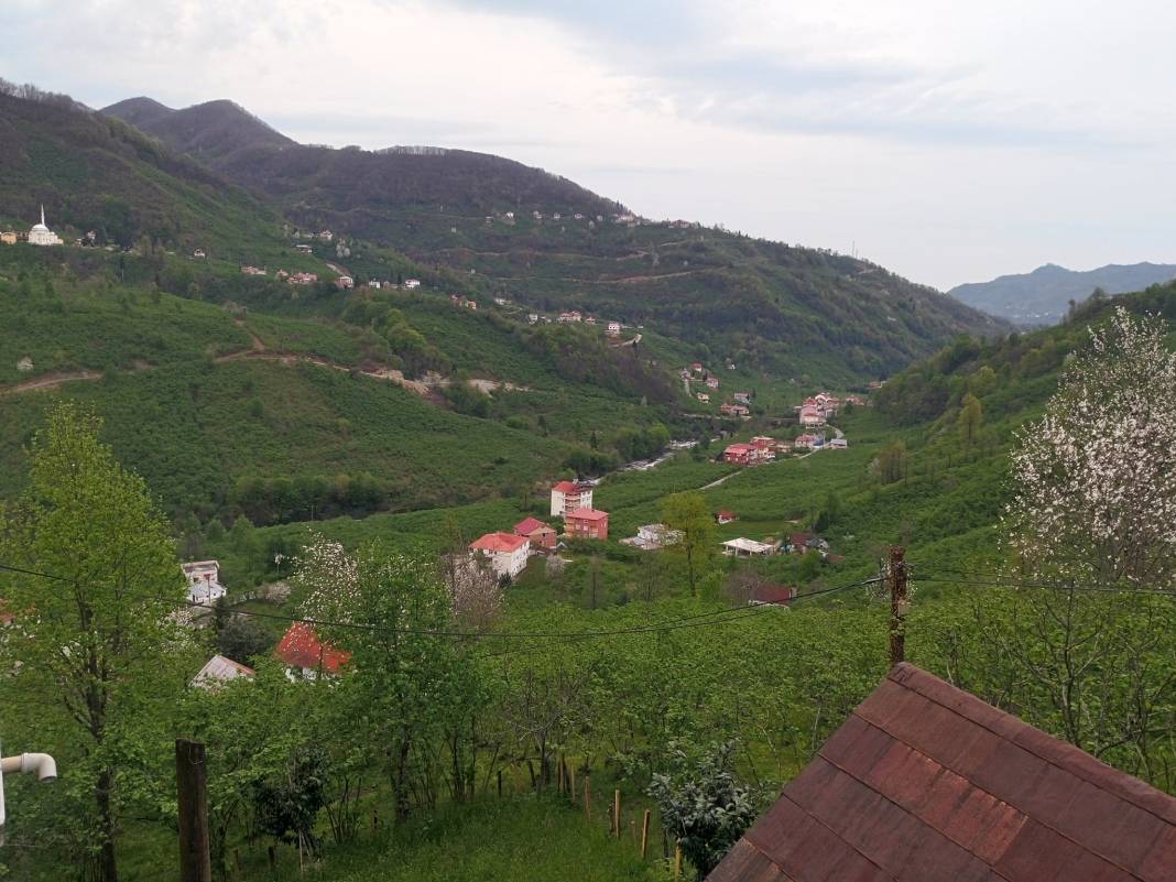 Çanakçı Akköy Köyü Resimleri 21