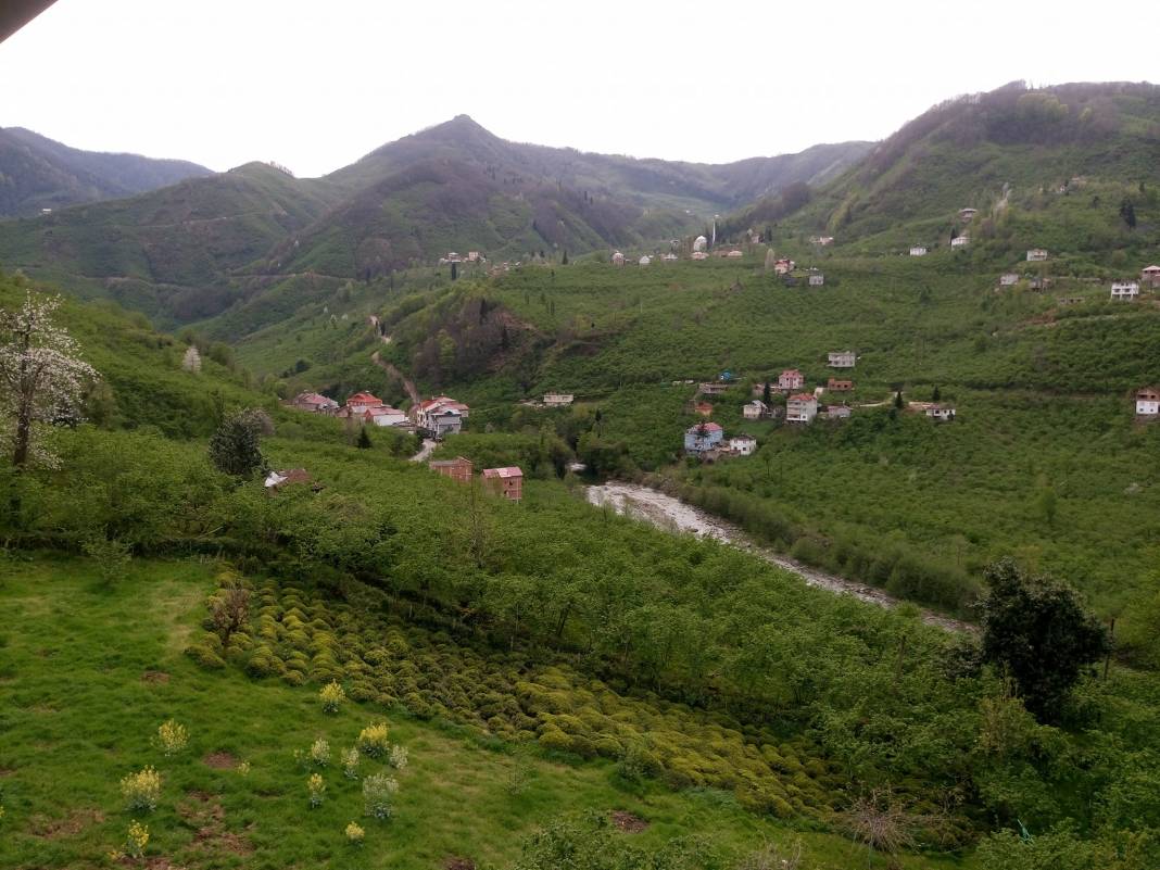 Çanakçı Akköy Köyü Resimleri 22