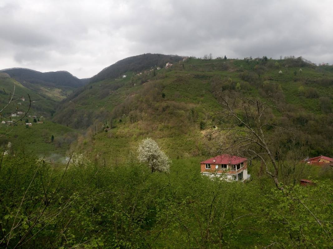 Çanakçı Akköy Köyü Resimleri 23