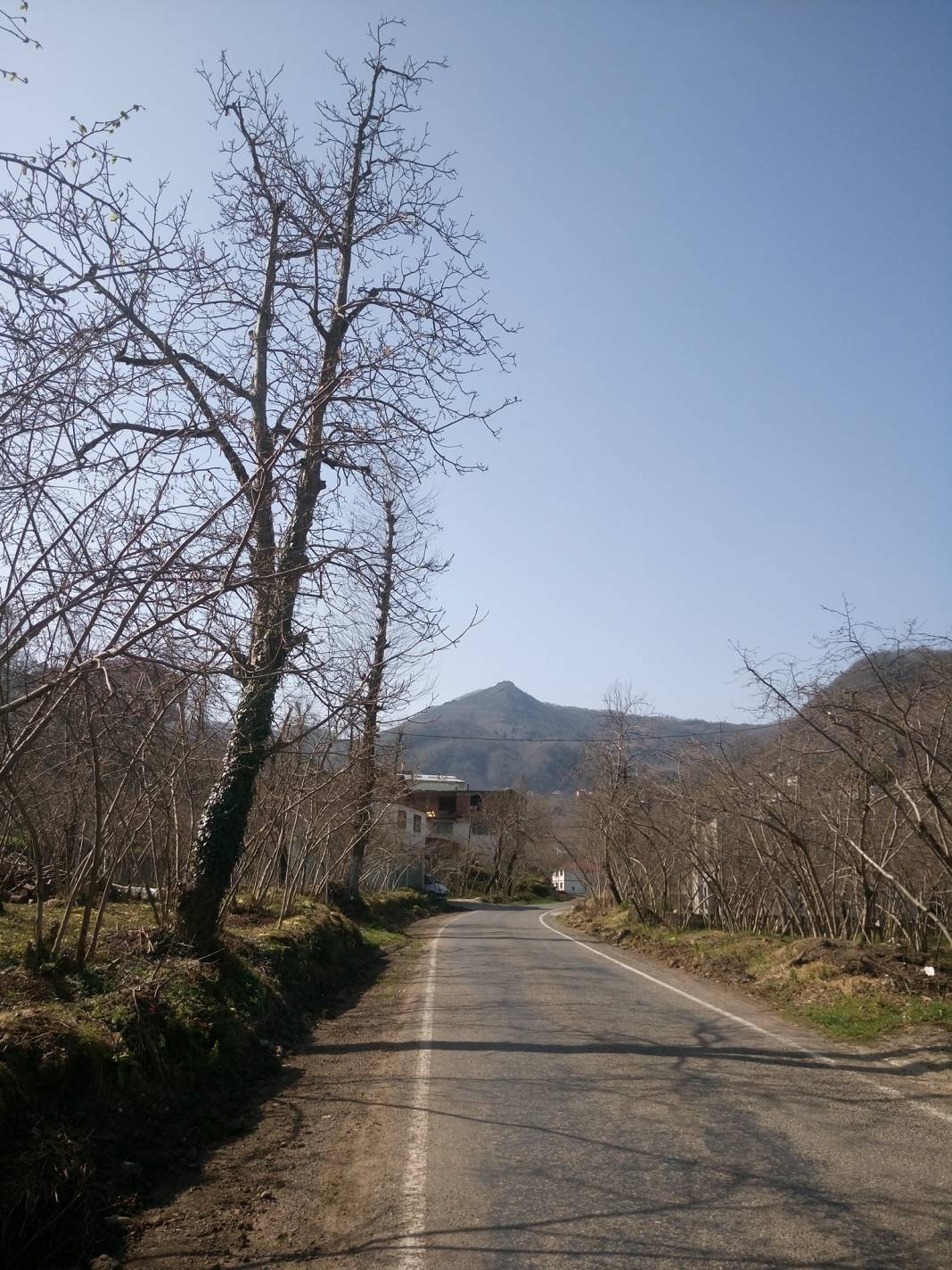 Çanakçı Akköy Köyü Resimleri 24