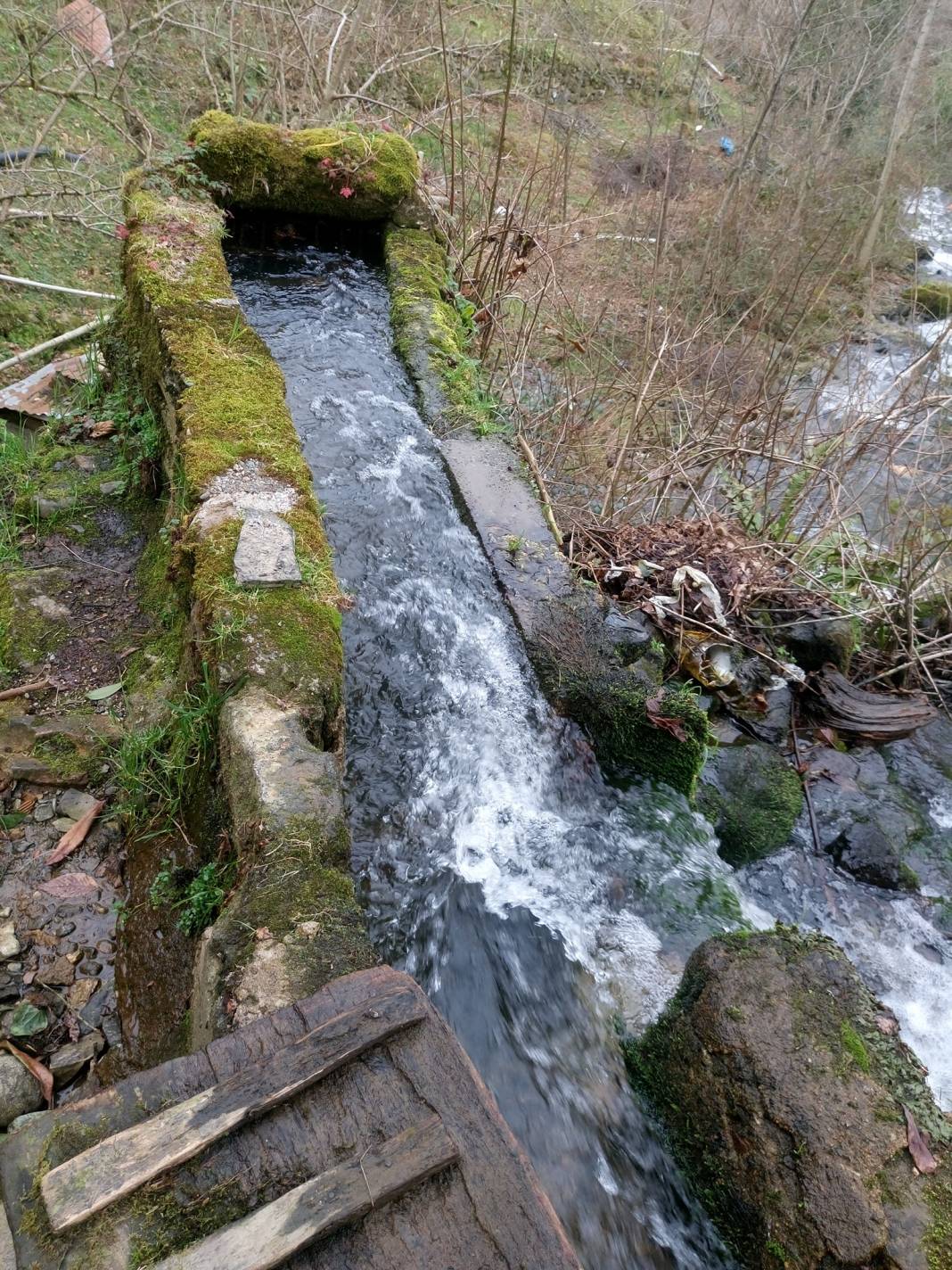 Çanakçı Akköy Köyü Resimleri 25