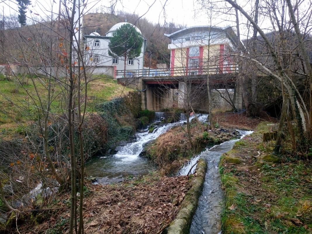 Çanakçı Akköy Köyü Resimleri 26