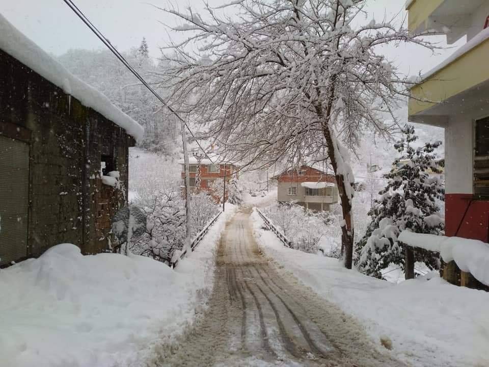 Çanakçı Akköy Köyü Resimleri 5
