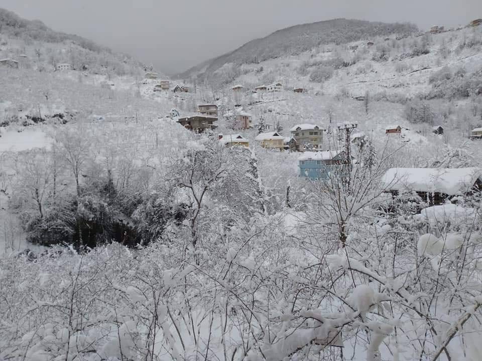 Çanakçı Akköy Köyü Resimleri 6