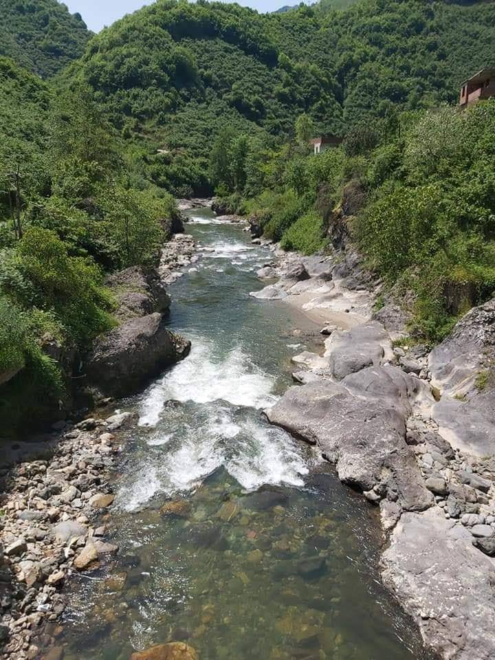 Çanakçı Akköy Köyü Resimleri 7