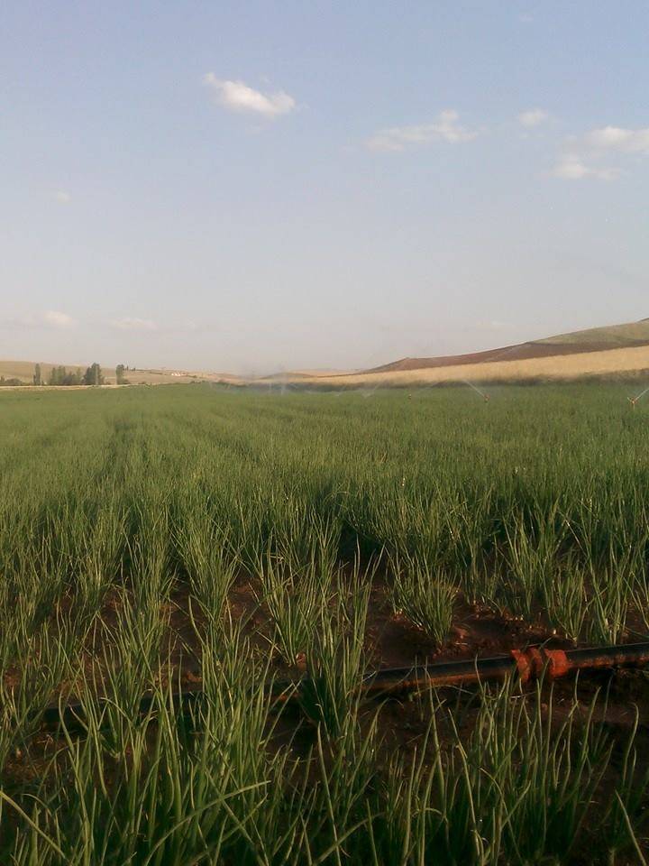 Polatlı Babayakup Köyü Resimleri 1