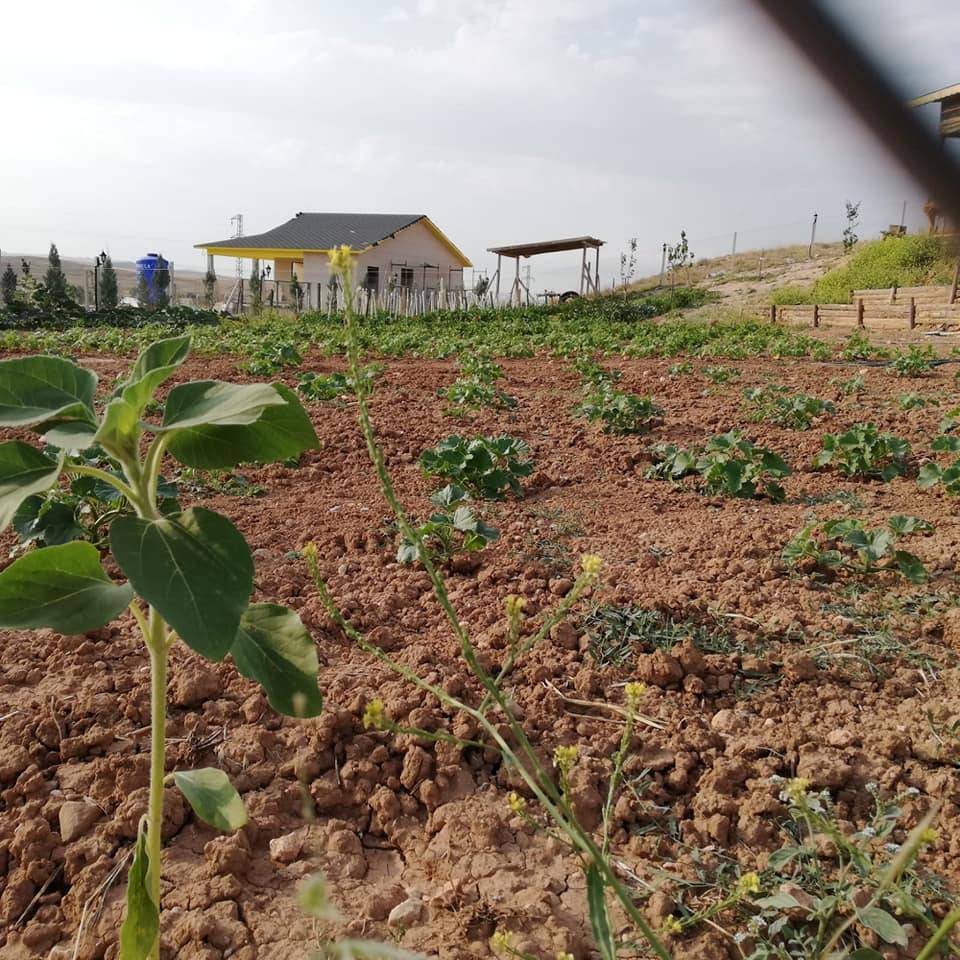 Polatlı Babayakup Köyü Resimleri 3