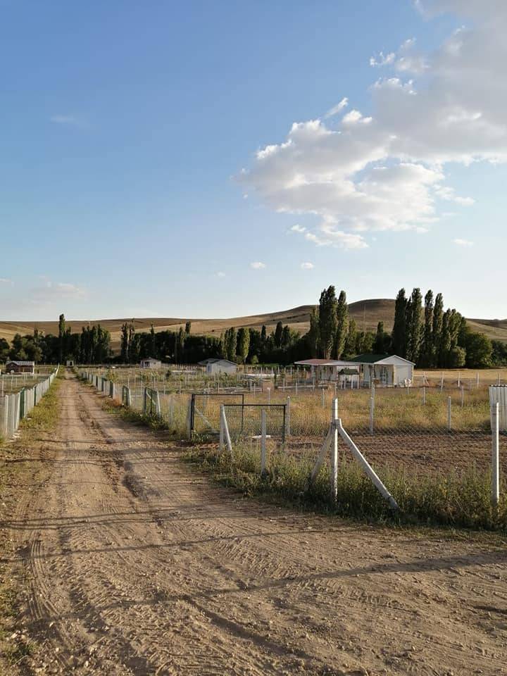 Polatlı Beyceğiz Köyü Resimleri 6