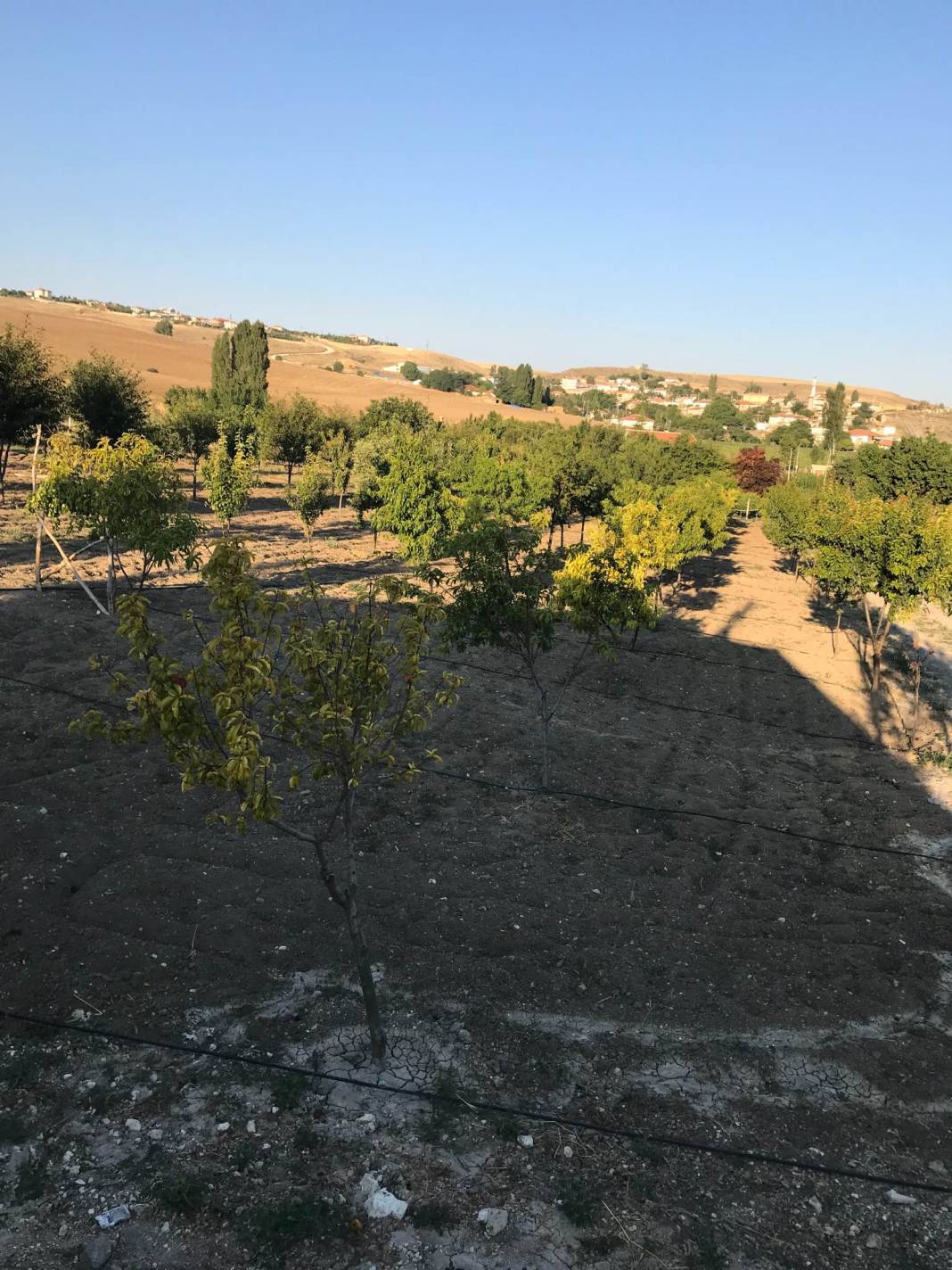 Polatlı Beyceğiz Köyü Resimleri 7