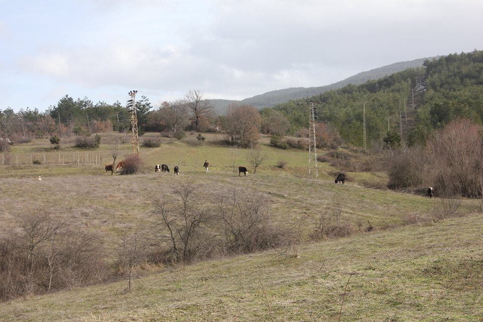 Ovacık Boyalı Köyü Resimleri 4