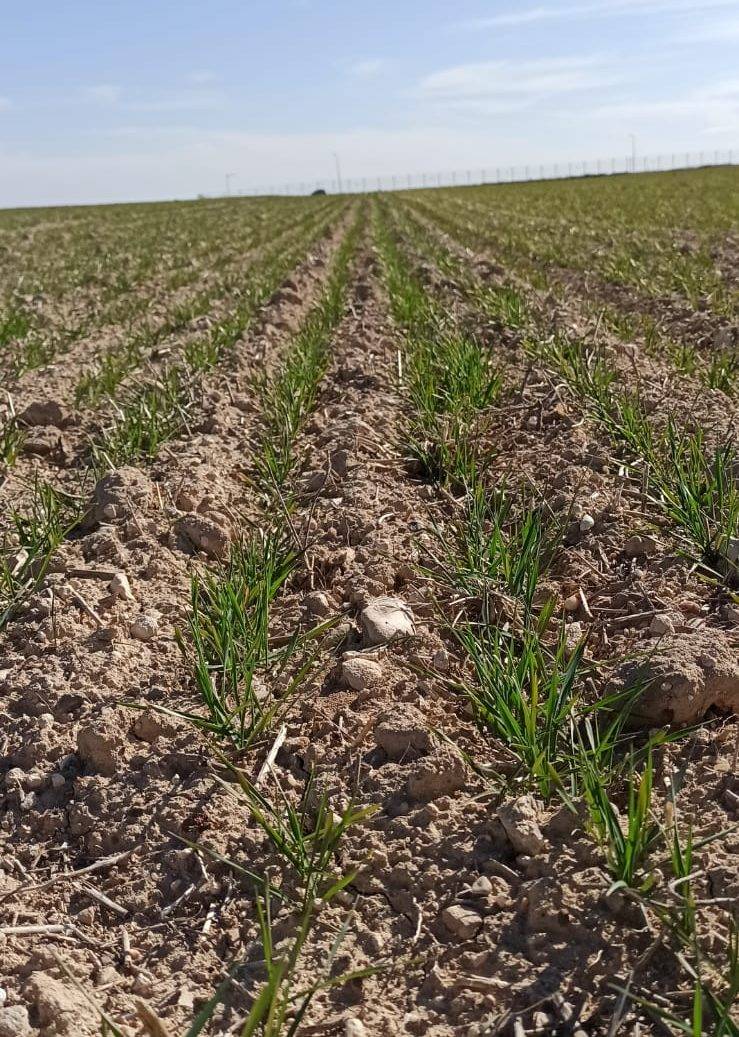 Polatlı Beylikköprü Köyü Resimleri 4