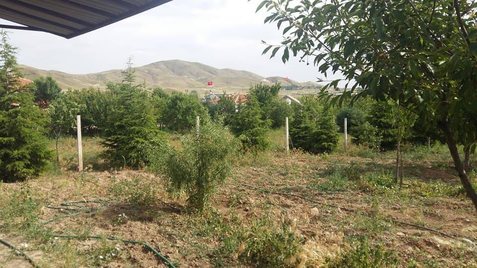 Polatlı  Çekirdeksiz Köyü Resimleri 1