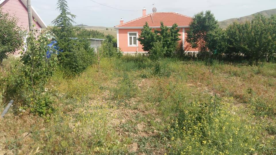 Polatlı  Çekirdeksiz Köyü Resimleri 3