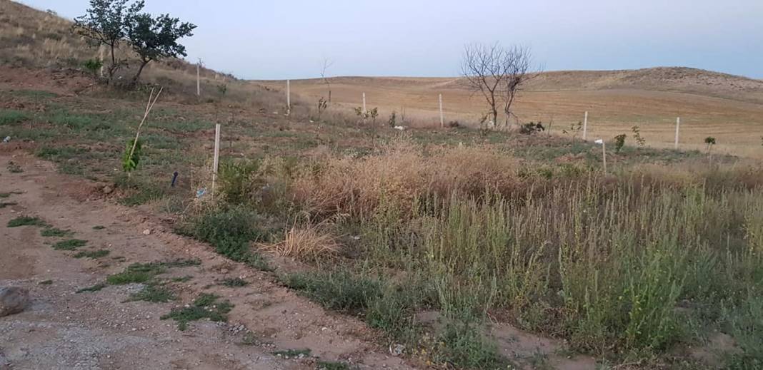 Polatlı Cimenceğiz Köyü Resimleri 2