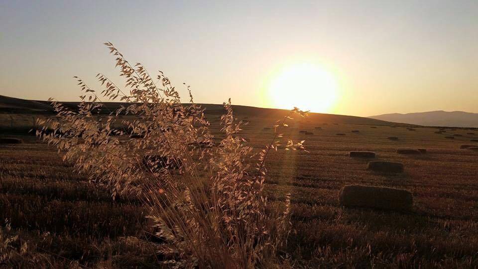 Polatlı Cimenceğiz Köyü Resimleri 5