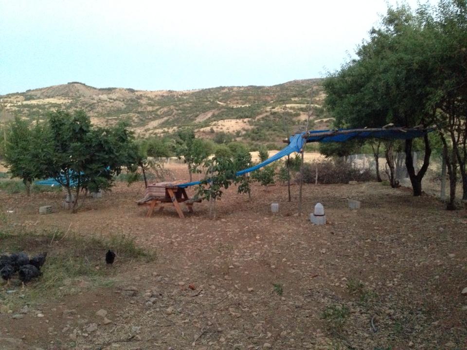 Adıyaman Besni Burunçayır Köyü Resimleri 1