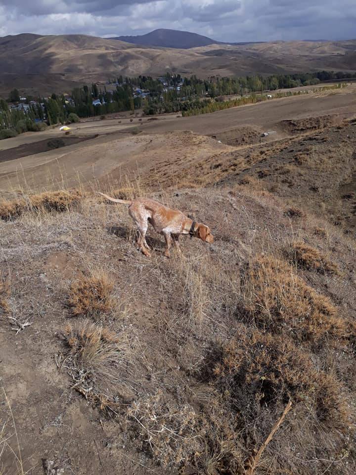 Polatlı Güreş Köyü Resimleri 8