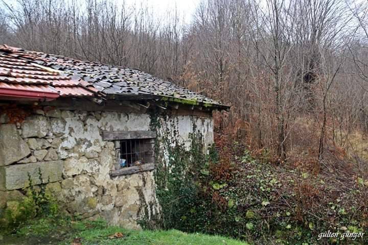 Polatlı Hacımusa Köyü Resimleri 9