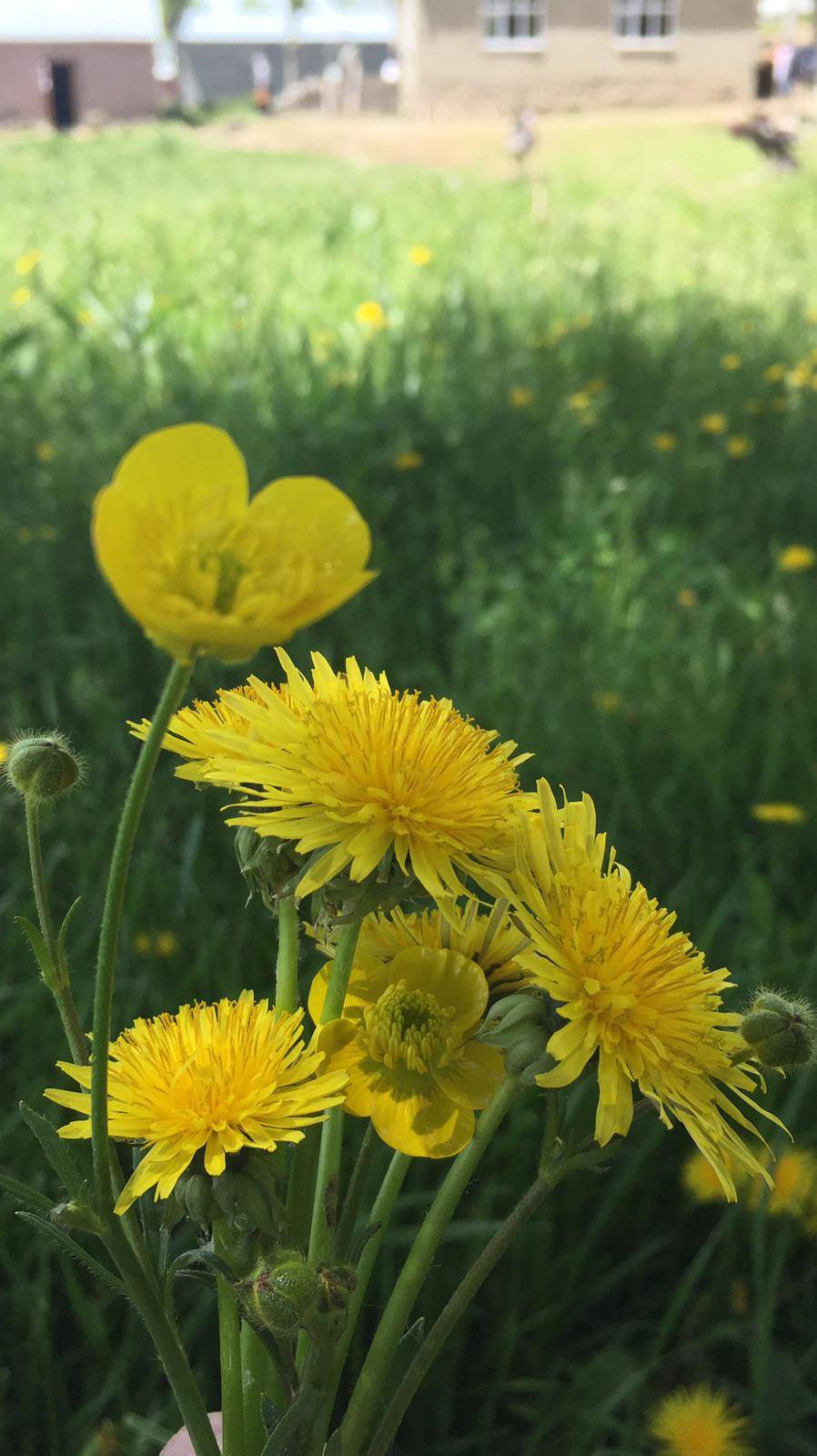 Özalp Sağmallı Beldesi Resimleri 1