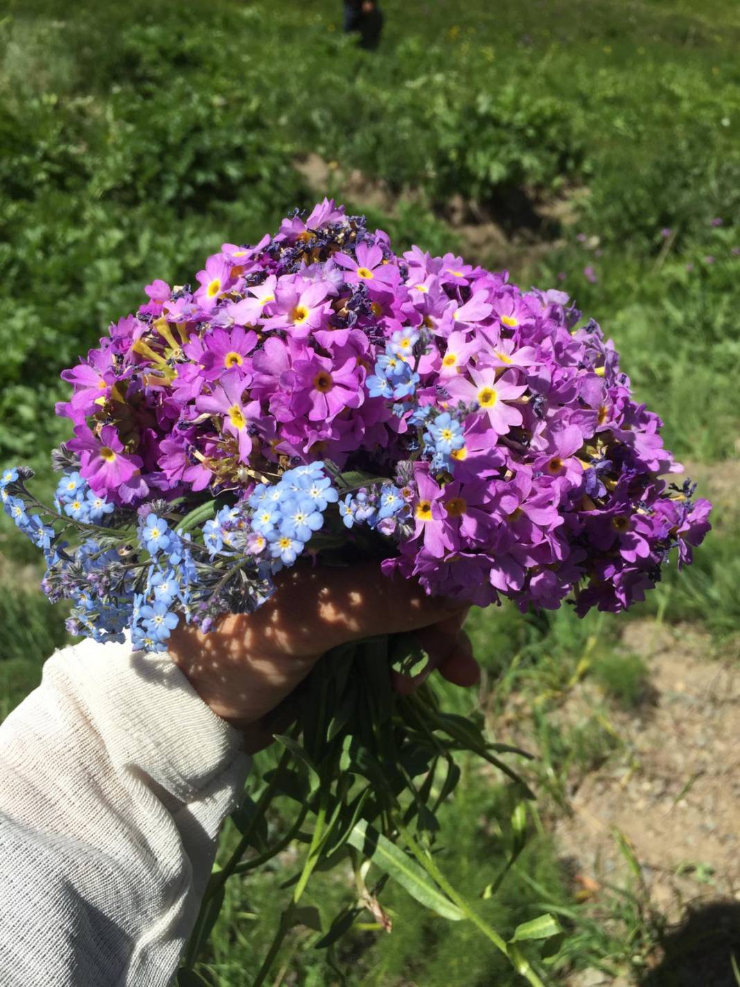 Özalp Sağmallı Beldesi Resimleri 12