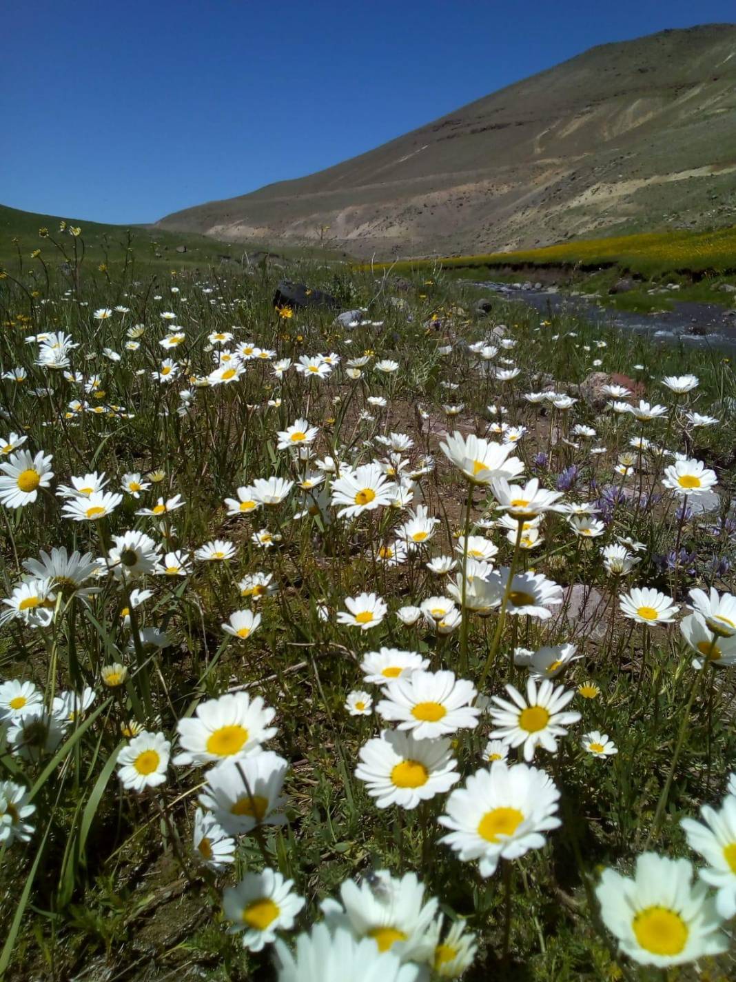Özalp Sağmallı Beldesi Resimleri 14