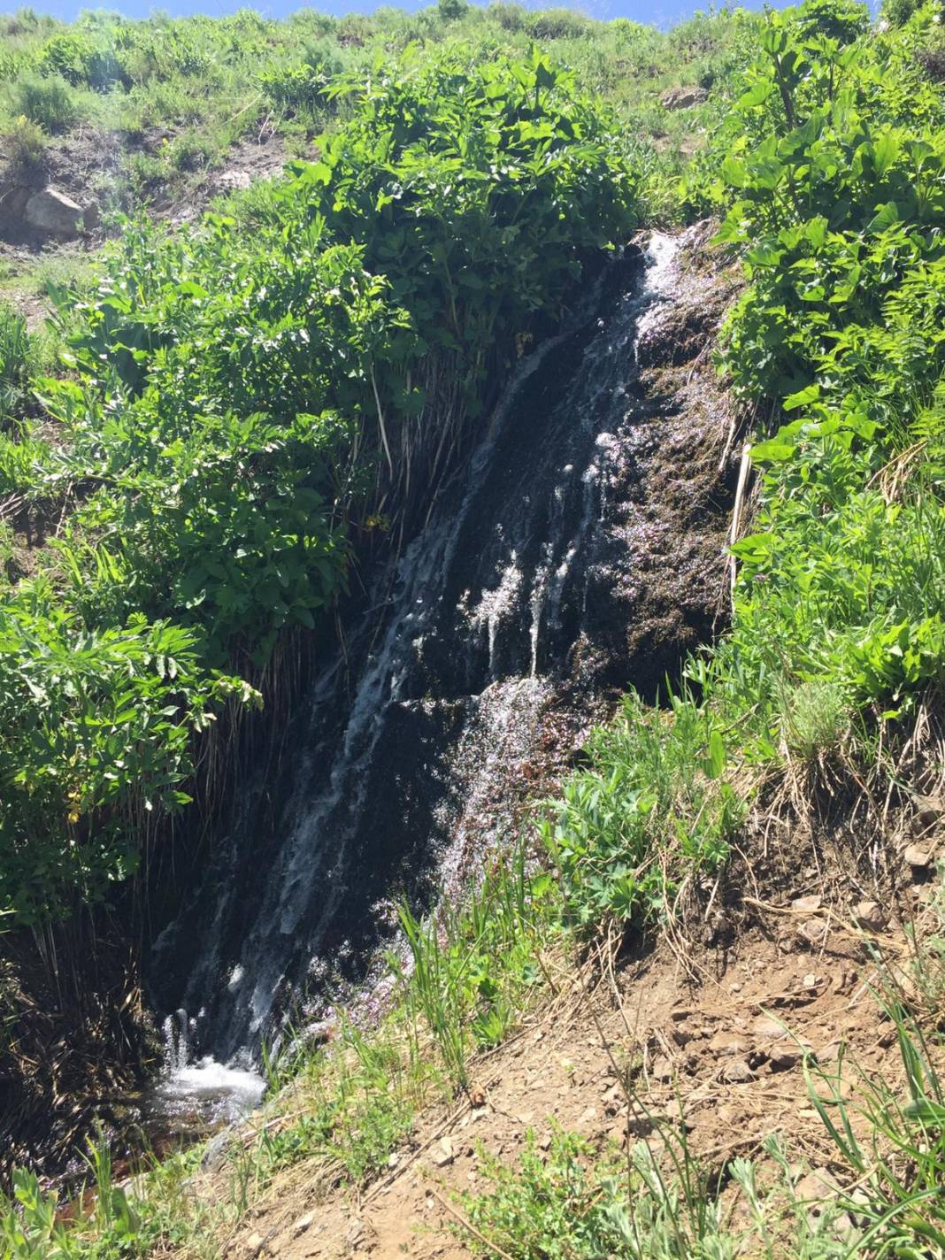 Özalp Sağmallı Beldesi Resimleri 15