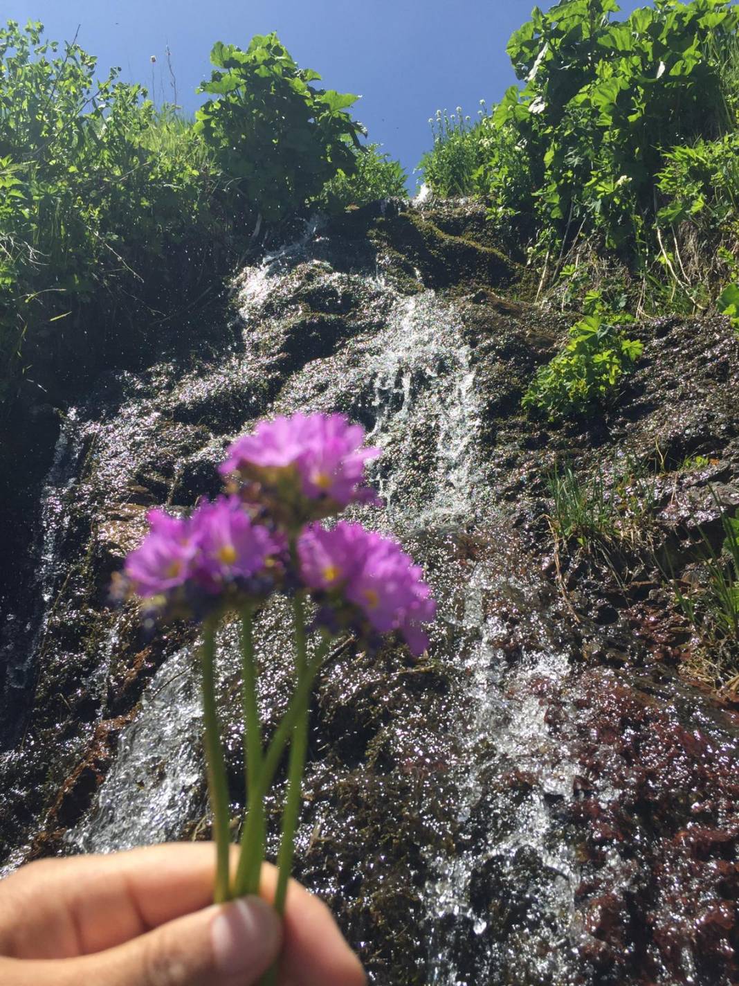 Özalp Sağmallı Beldesi Resimleri 18