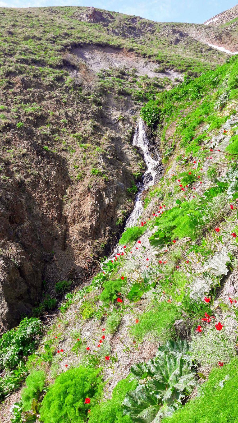 Özalp Sağmallı Beldesi Resimleri 19