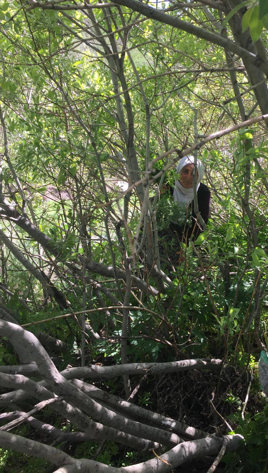 Özalp Sağmallı Beldesi Resimleri 28