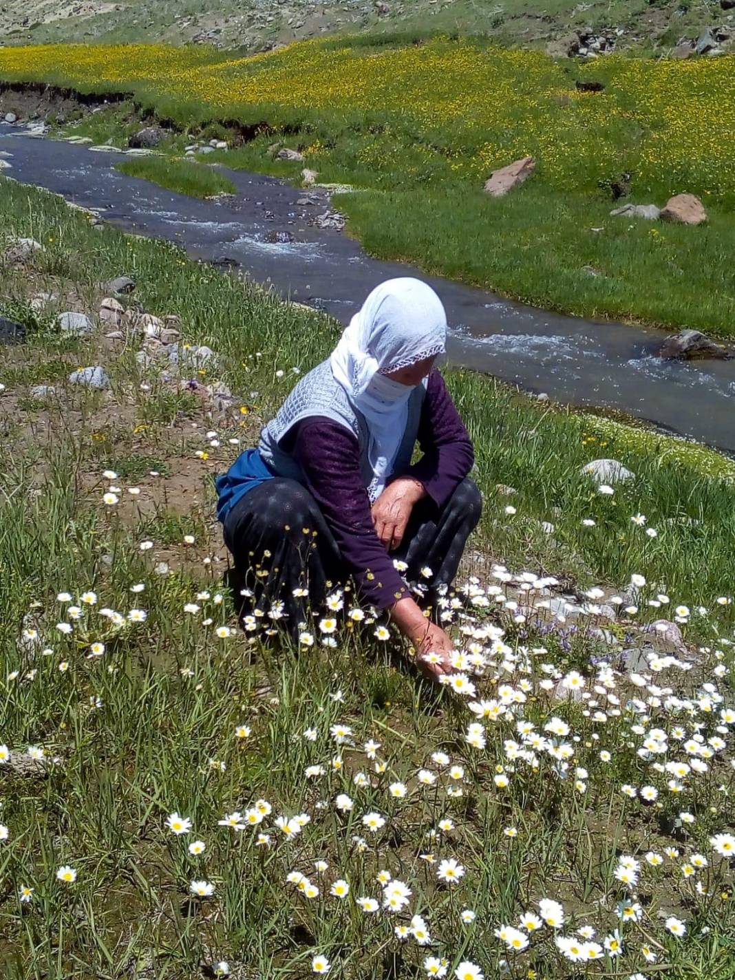 Özalp Sağmallı Beldesi Resimleri 30